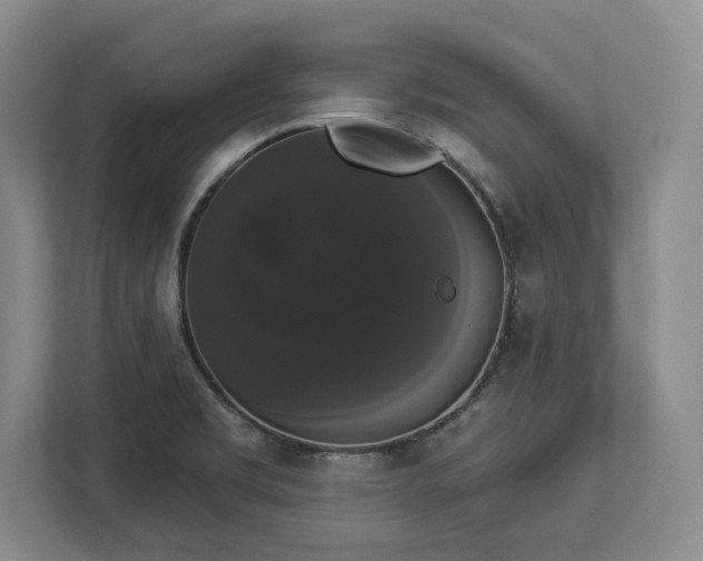 X0000113061469200909041028