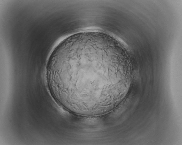 X0000113061470200909041028