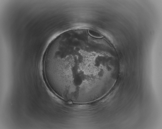 X0000113061471200909041028