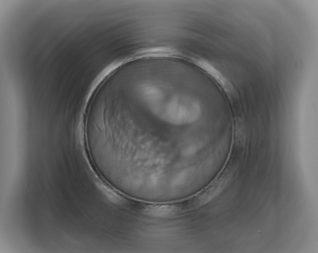 X0000113061474200909041028