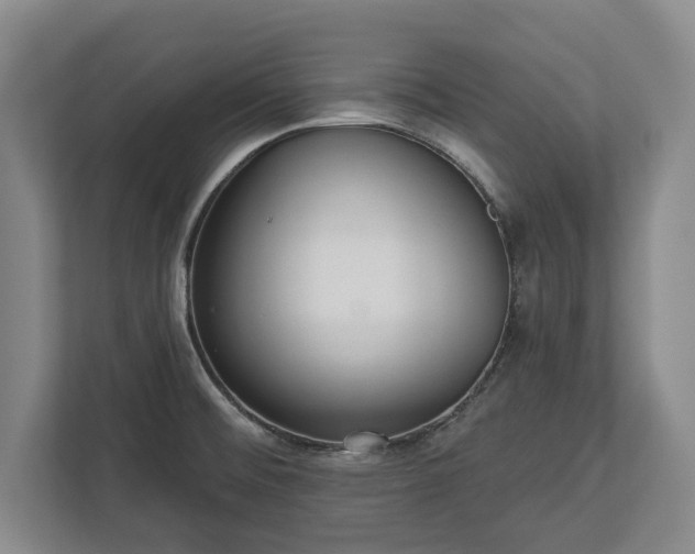 X0000113061476200909041028