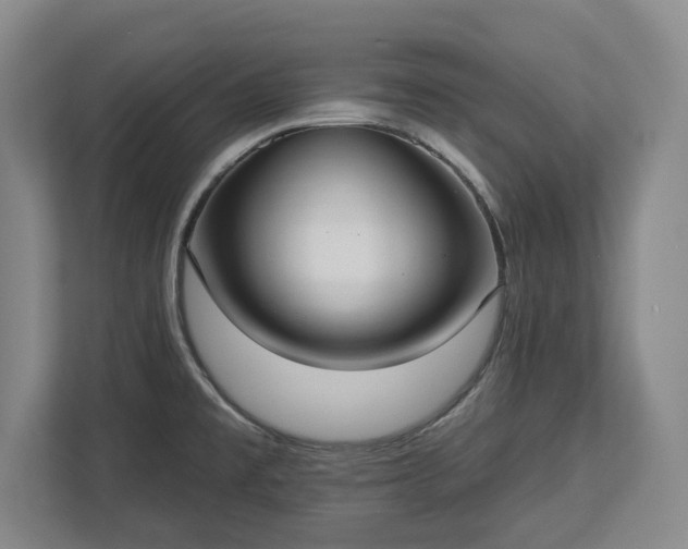 X0000113061477200909041028