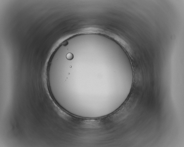 X0000113061478200909041028