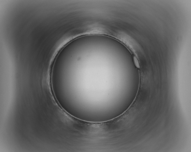 X0000113061480200909041028