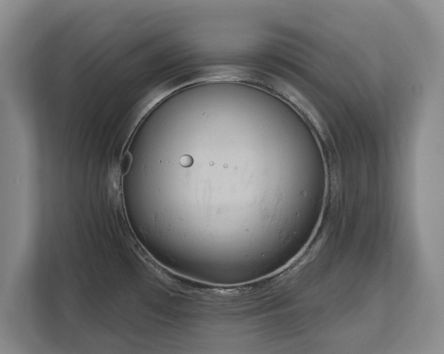 X0000113061481200909041028
