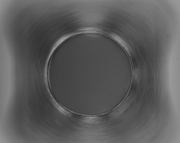 X0000113061482200909041028