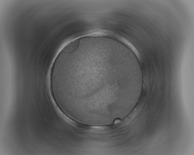 X0000113061483200909041028