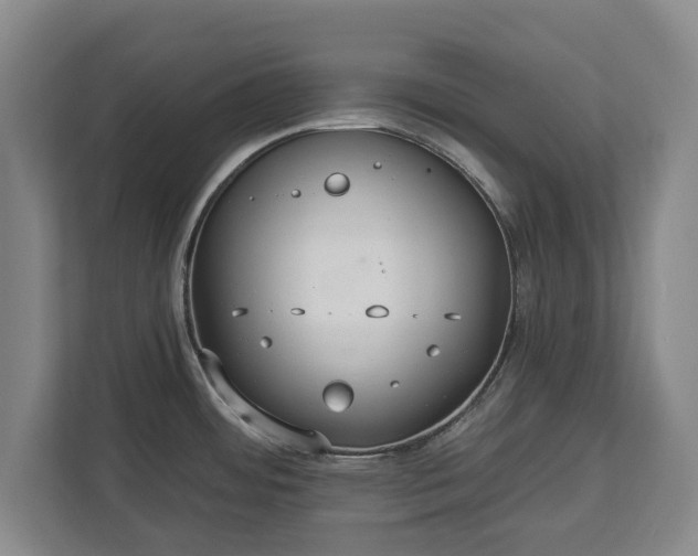 X0000113061484200909041028