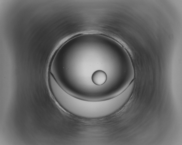 X0000113061485200909041028