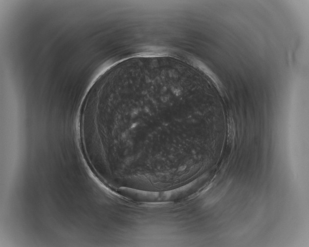 X0000113061487200909041028