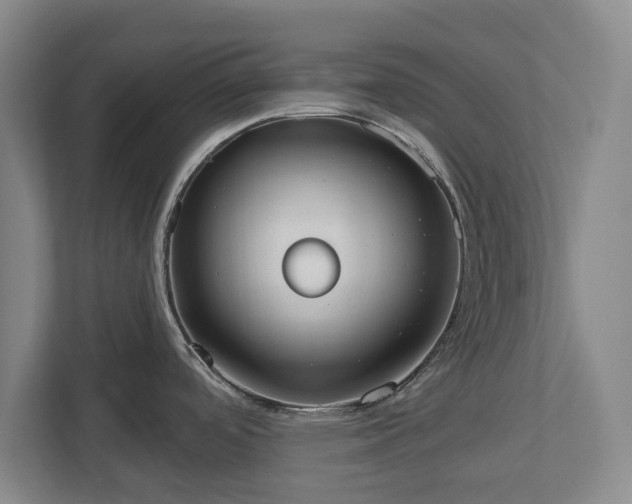 X0000113061488200909041028