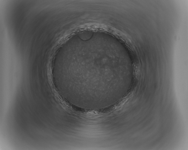 X0000113061489200909041027
