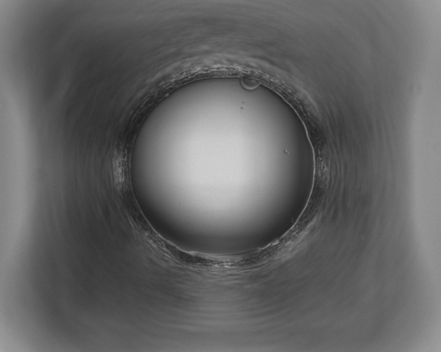 X0000113061490200909041027