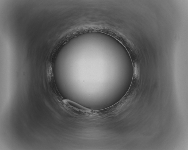 X0000113061492200909041027