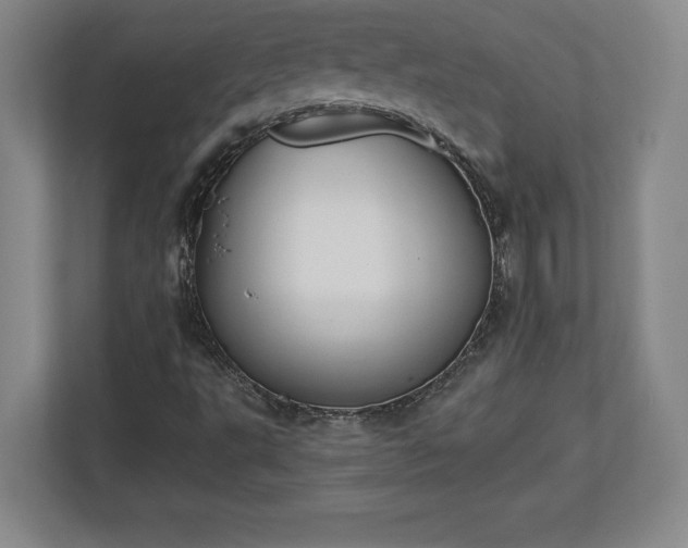 X0000113061495200909041027