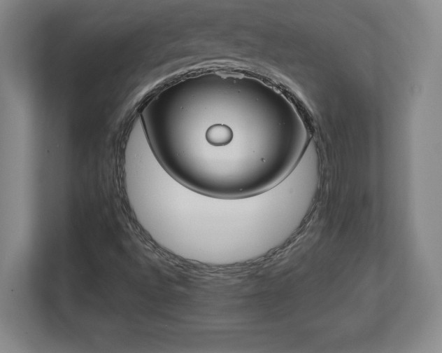 X0000113061496200909041027
