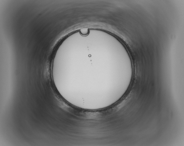 X0000113061498200909041027
