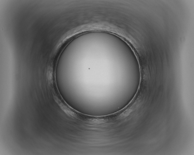 X0000113061499200909041027