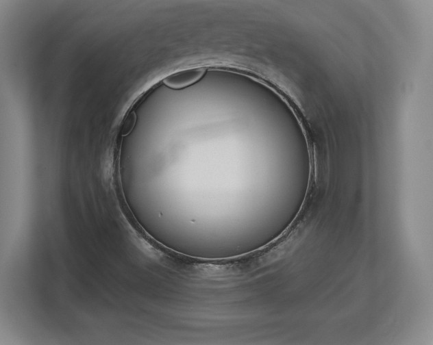 X0000113061500200909041027