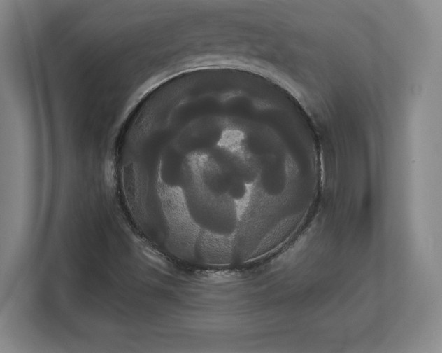X0000113061501200909041027