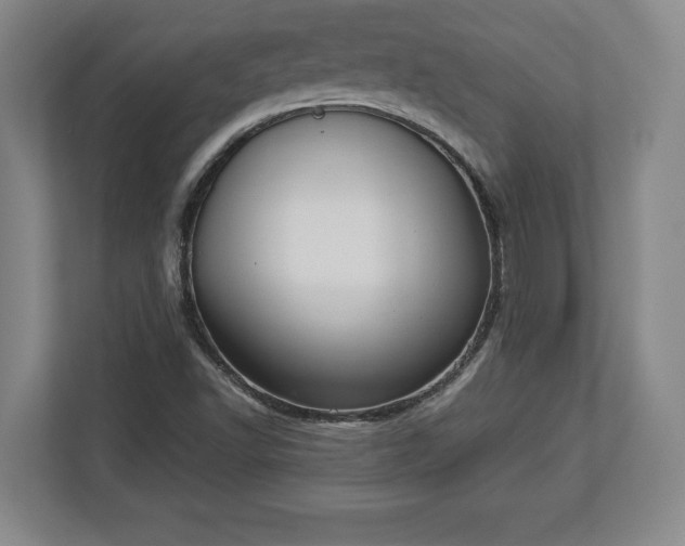X0000113061502200909041027