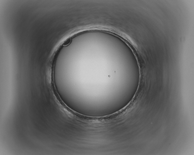 X0000113061504200909041027