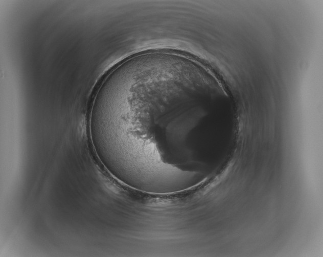X0000113061505200909041027