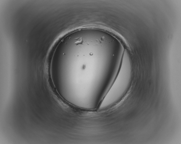 X0000113061506200909041027