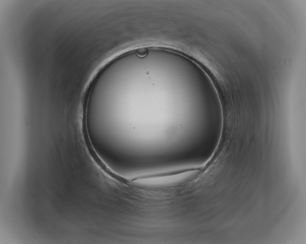 X0000113061508200909041027