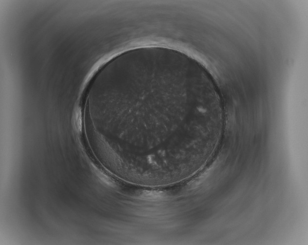 X0000113061509200909041027