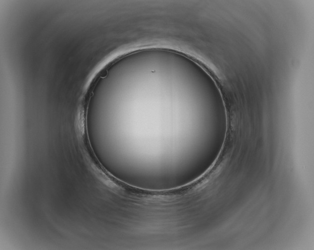X0000113061510200909041027