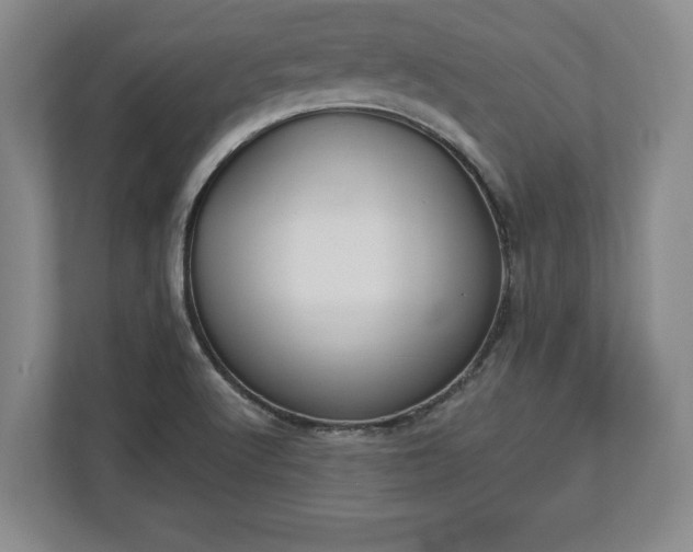 X0000113061512200909041027