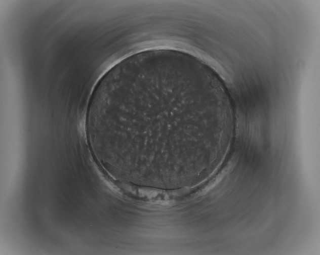 X0000113061513200909041027