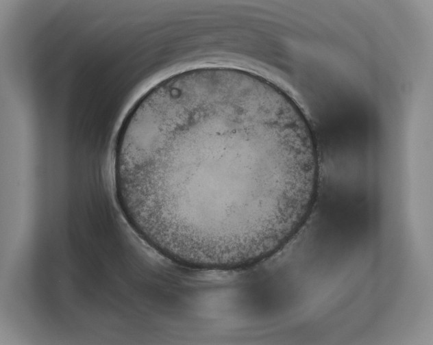 X0000113061514200909041027