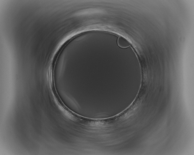 X0000113061515200909041027