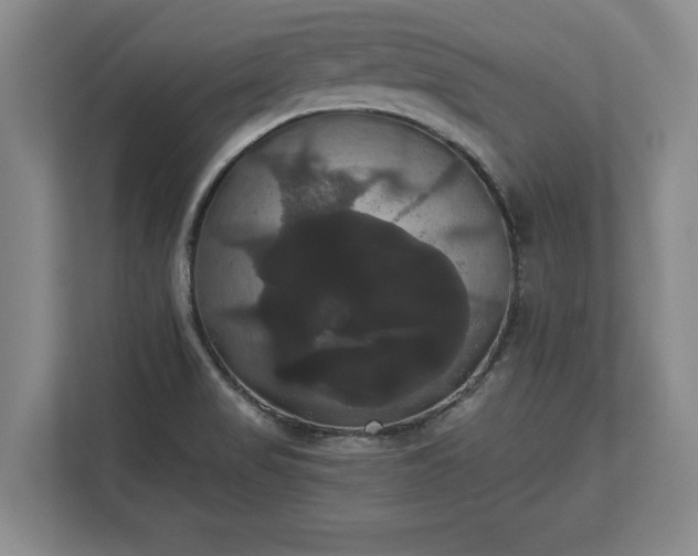 X0000113061517200909041027