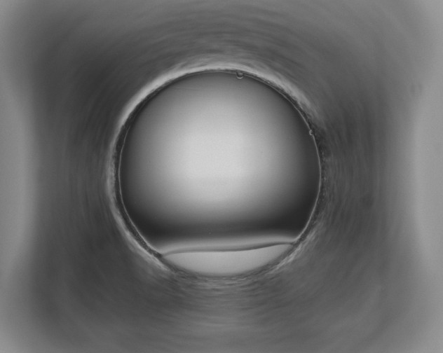X0000113061518200909041027
