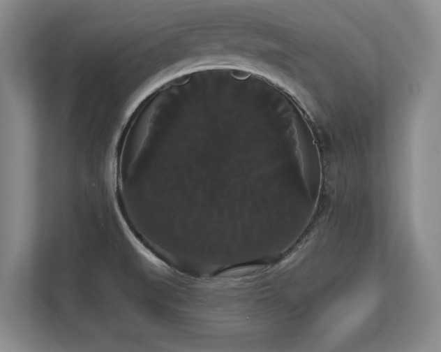 X0000113061519200909041027