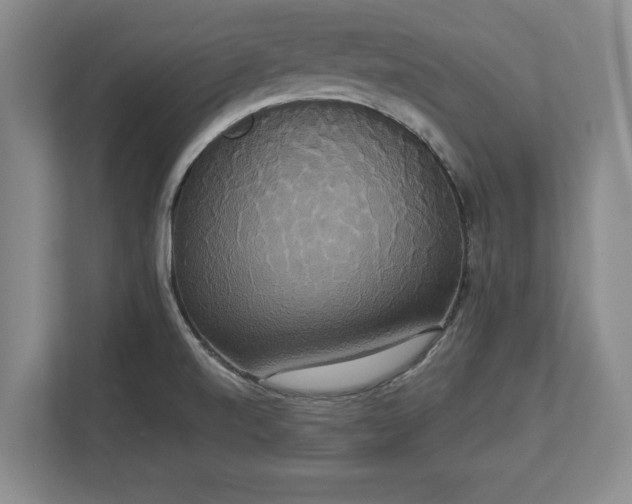 X0000113061520200909041027