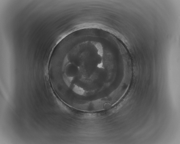 X0000113061521200909041027