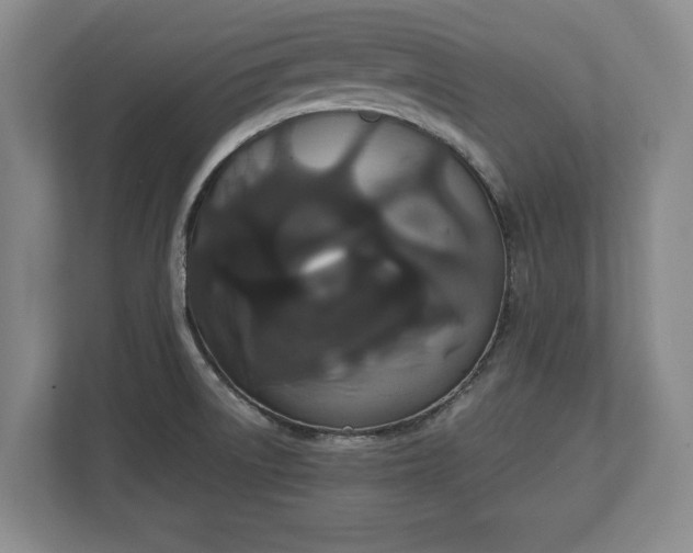X0000113061522200909041027