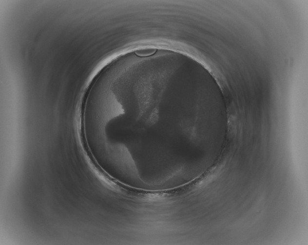 X0000113061523200909041028