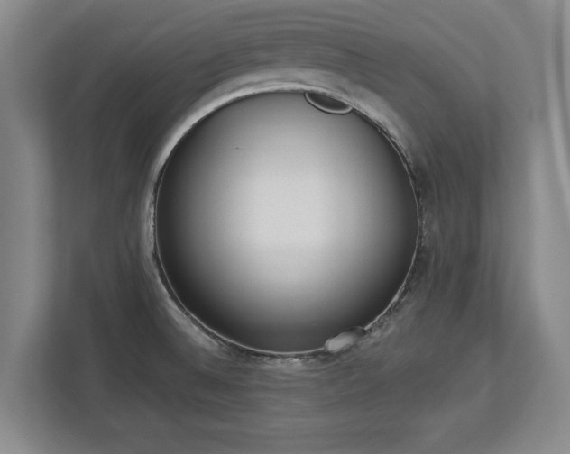 X0000113061524200909041028