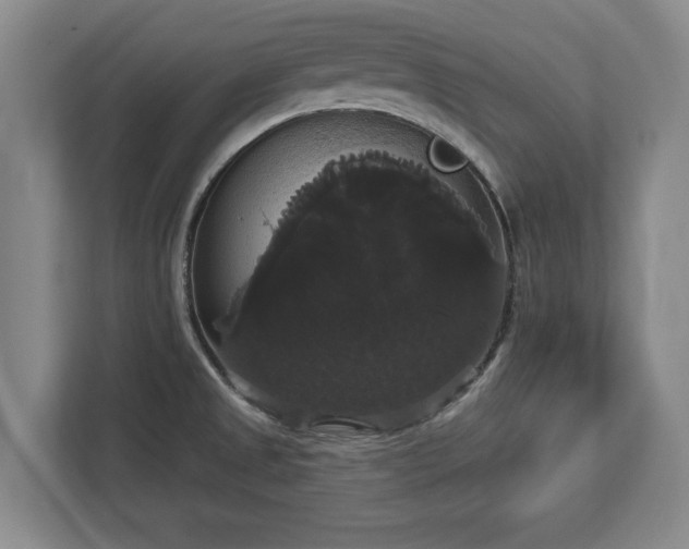 X0000113061525200909041028