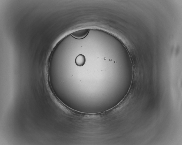 X0000113061526200909041028