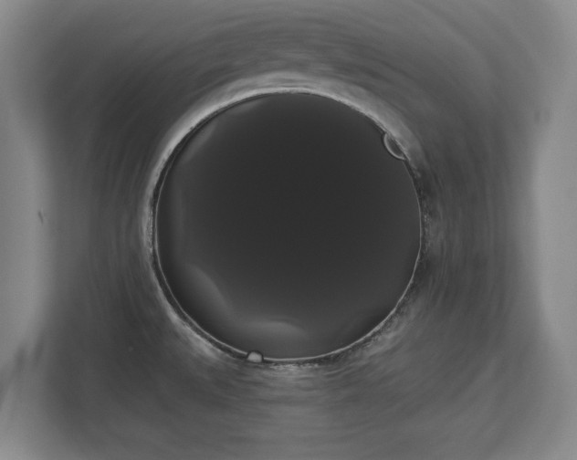 X0000113061527200909041028