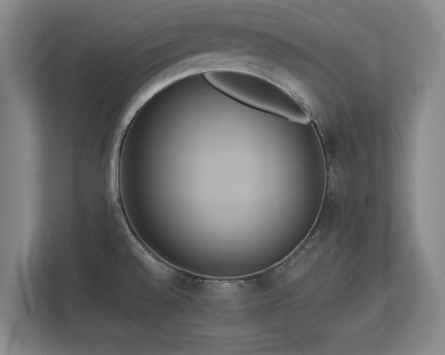 X0000113061528200909041028