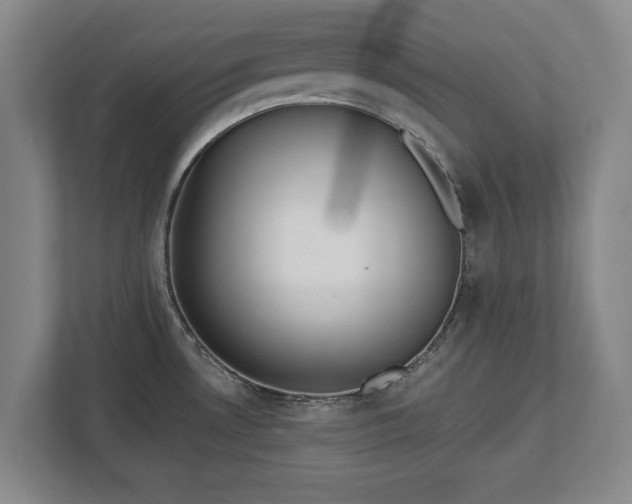 X0000113061530200909041028