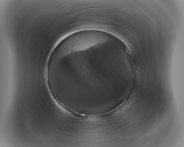 X0000113061531200909041028