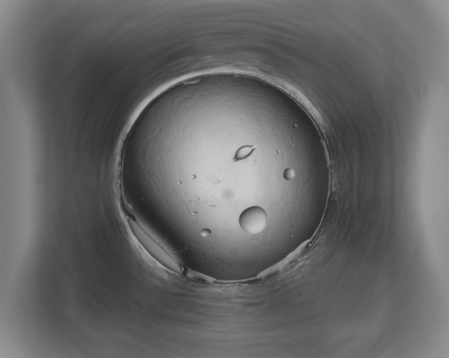 X0000113061532200909041028